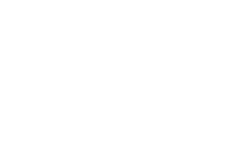 pinnacle physical therapy logo white