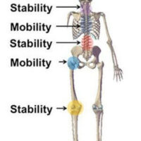 pinnacle physical therapy can help you determine why the pain will not go away